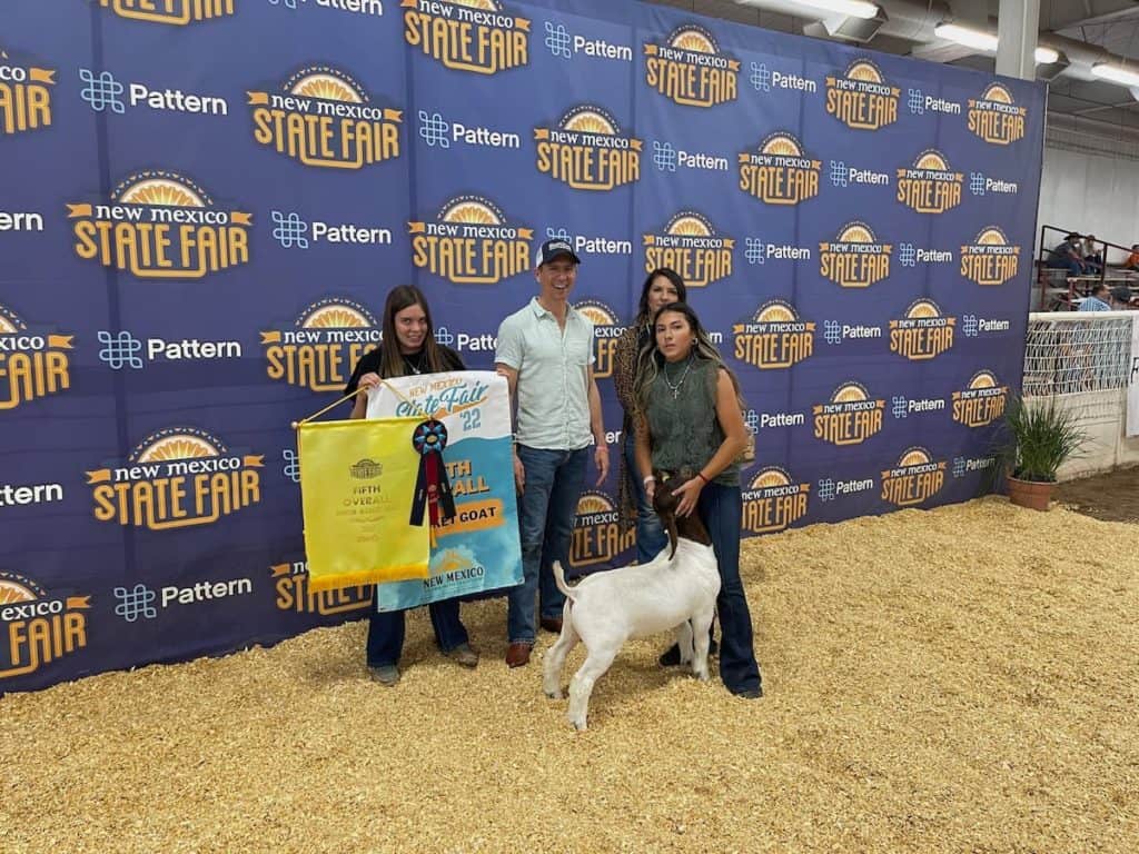 New Mexico State Fair Junior Livestock Show Celebrates Youth Pattern