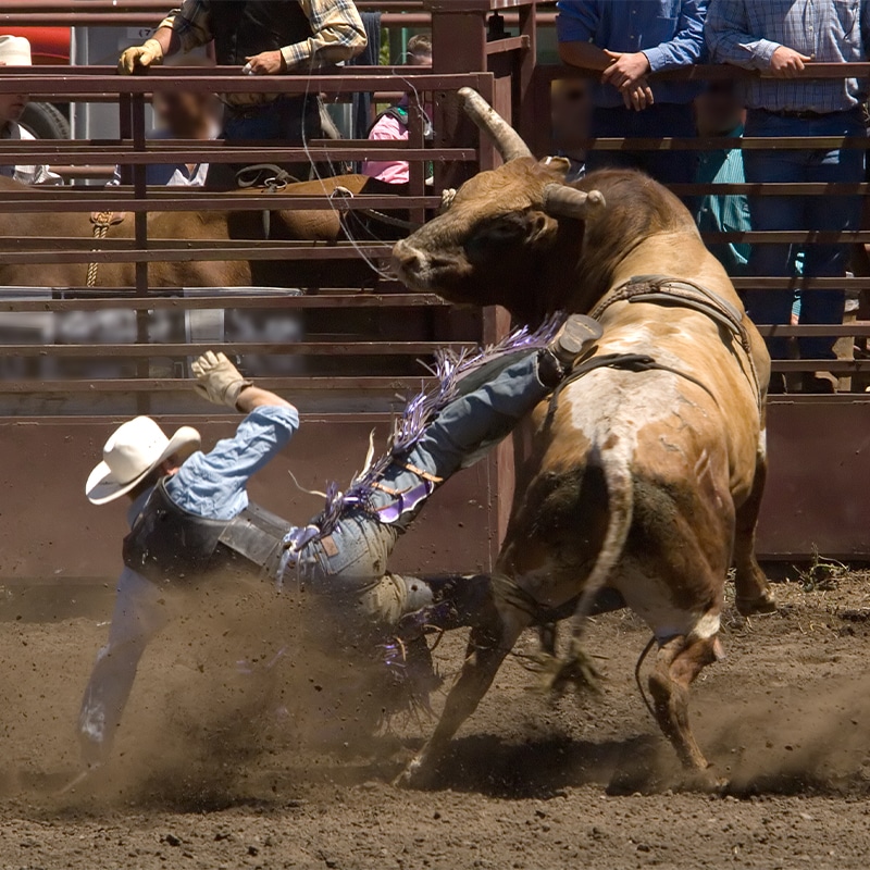 Prairie Valley Rodeo Heritage Prairie Renewable Sponsors Livingston County Fair Rodeo ...