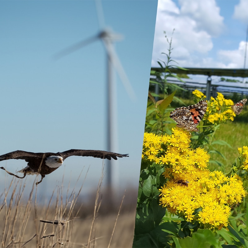 REWI fait progresser la science environnementale des énergies ...