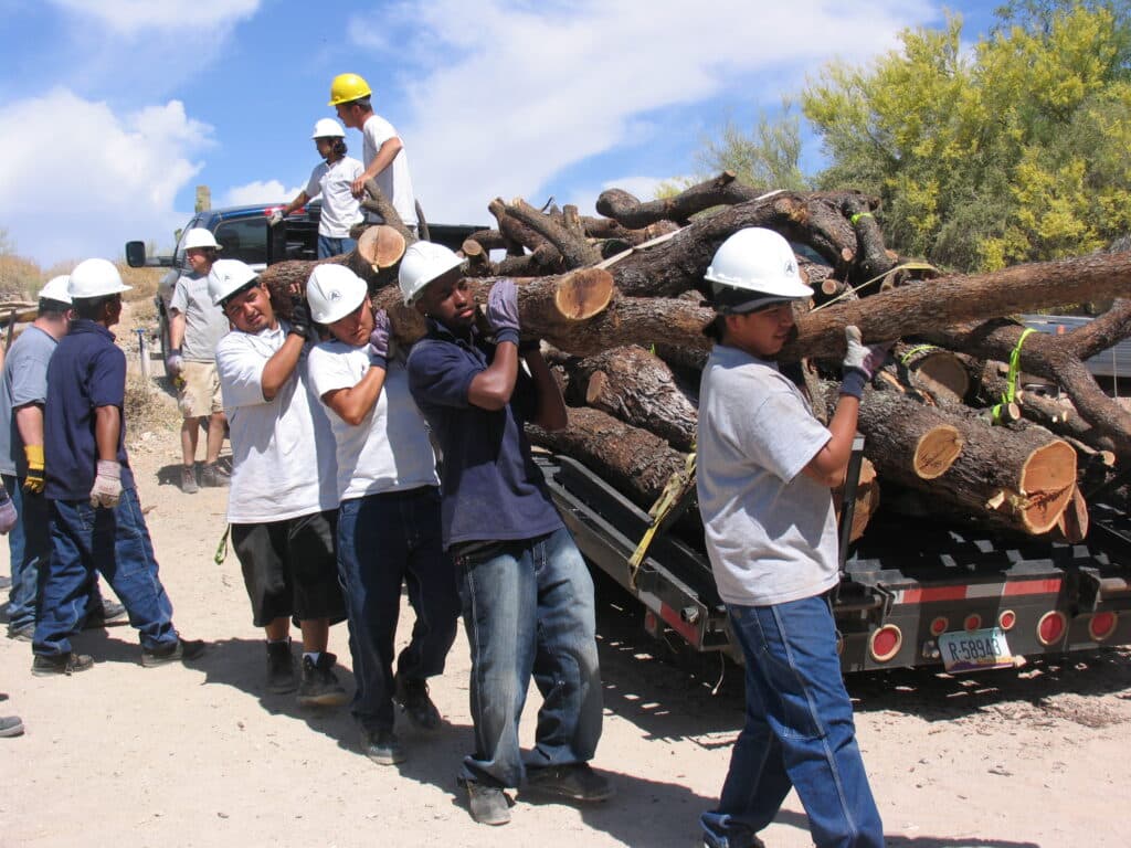 Salvaging mesquite wood.